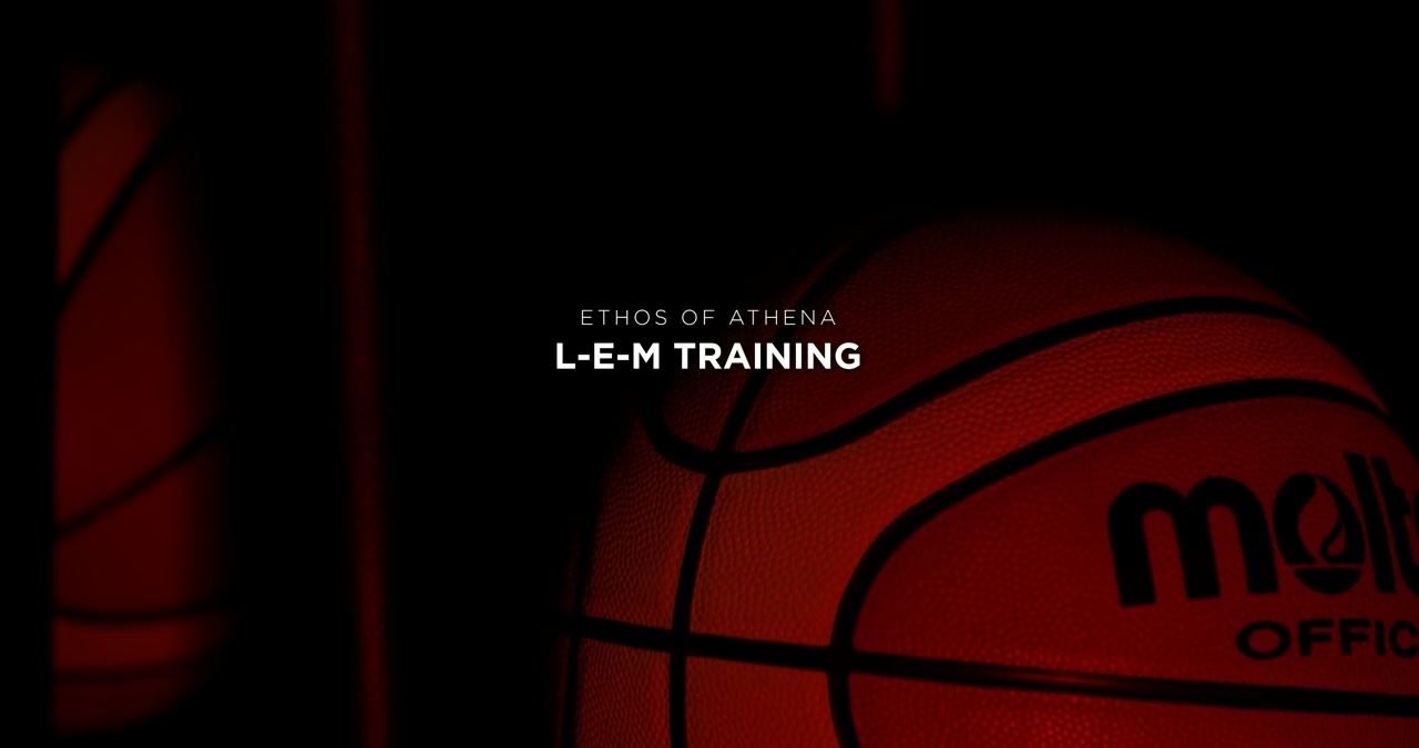 Course video preview